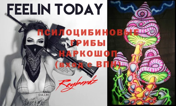 прущая мука Арсеньев