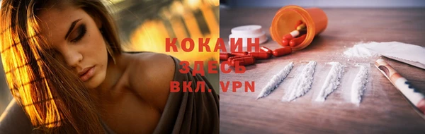 ГАЛЛЮЦИНОГЕННЫЕ ГРИБЫ Аркадак