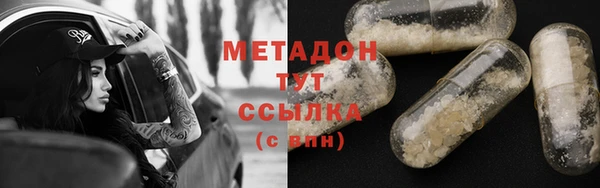ГАЛЛЮЦИНОГЕННЫЕ ГРИБЫ Аркадак