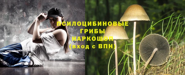 прущая мука Арсеньев