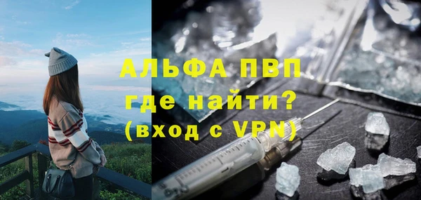 Альфа ПВП Новодвинск
