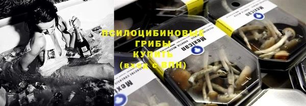 ГАЛЛЮЦИНОГЕННЫЕ ГРИБЫ Аркадак